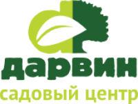 Дарвин